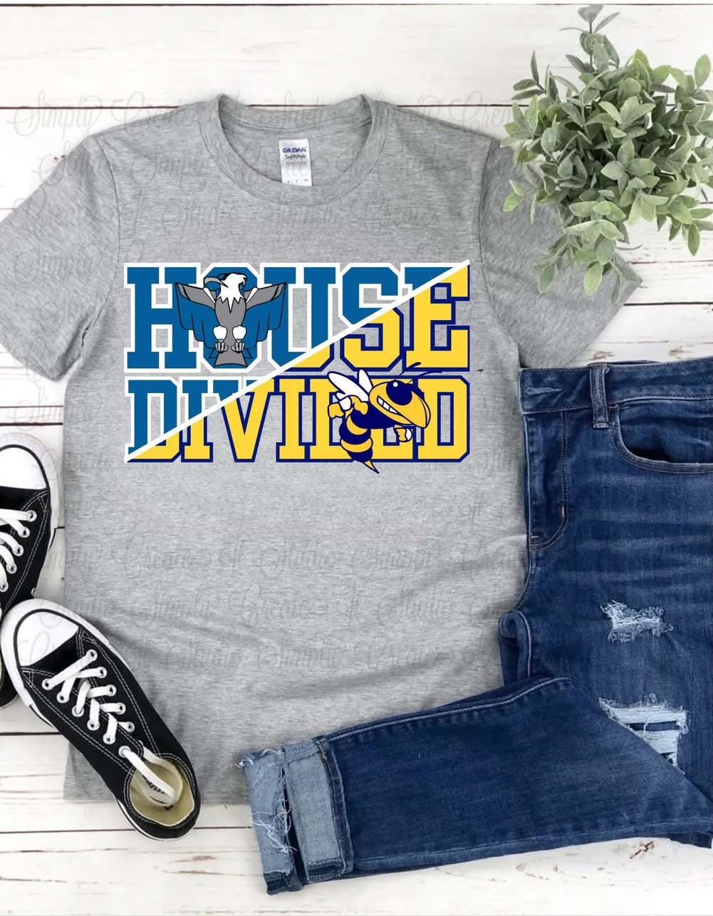 Pre order House Divided